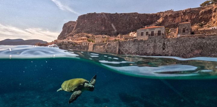 Una tortuga se desplaza por las aguas frente a Monemvasía, Grecia, con la ciudadela medieval alzándose sobre el mar.