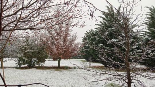 La nieve volvió a Córdoba: cerraron el Camino de las Altas Cumbres por el hielo y el frío