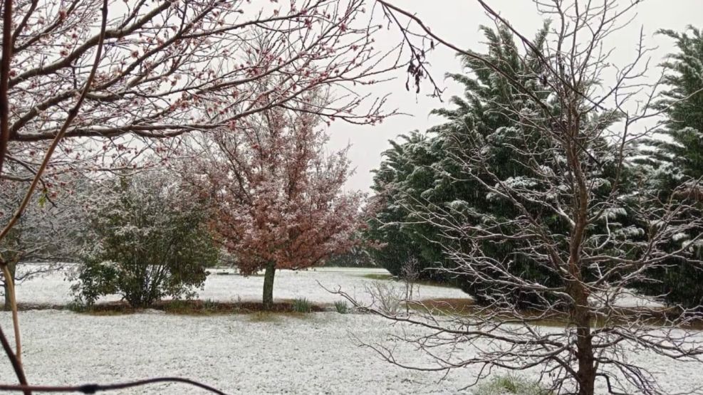 Nieve en Achiras, Córdoba. 