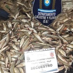 En Salta, los policías detectaron una camioneta en la zona y procedieron a inspeccionarla. Durante el control encontraron redes y piezas ictícolas que eran transportadas por los ocupantes.