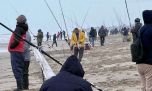 La pescadilla no apareció y el pez elefante fue la gran figura de la Fiesta de Pinamar