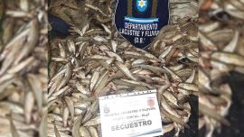 En Salta, los policías detectaron una camioneta en la zona y procedieron a inspeccionarla. Durante el control encontraron redes y piezas ictícolas que eran transportadas por los ocupantes.