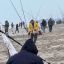 1409_pinamar