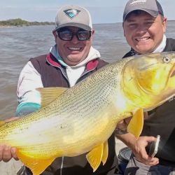 El dorado vuelve a ser uno de los grandes protagonistas de la pesca en Cayastá. Si bien todavía no aparecen en grandes cantidades, los ejemplares que están tomando los artificiales y las carnadas se destacan por su tamaño.