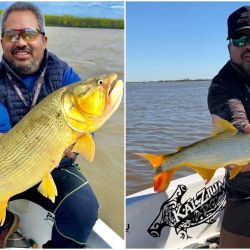 Ramallo se posiciona como una alternativa cada vez más interesante para los pescadores deportivos que buscan dorados con carnada, señuelos o mosca.