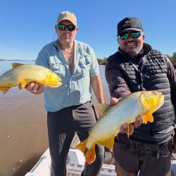 Ramallo se posiciona como una alternativa cada vez más interesante para los pescadores deportivos que buscan dorados con carnada, señuelos o mosca.
