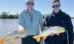 Ramallo tiene dorados: dónde buscarlos y cuál es la clave para hacerlos picar con señuelos