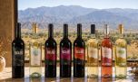 Burbujas de Altura: vinos, espumantes y enoturismo con una identidad familiar