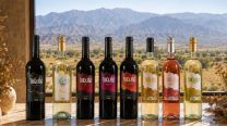 Burbujas de Altura: vinos, espumantes y enoturismo con una identidad familiar