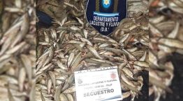 1409_pesca