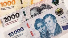 Dinero, pesos argentinos