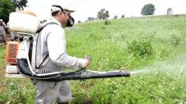 Fumigaciones