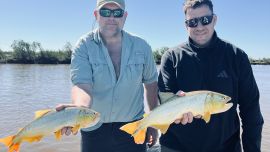 Ramallo se posiciona como una alternativa cada vez más interesante para los pescadores deportivos que buscan dorados con carnada, señuelos o mosca.