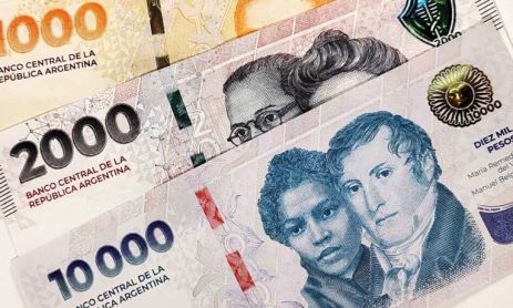 Dinero, pesos argentinos