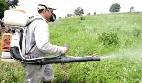 Fumigaciones