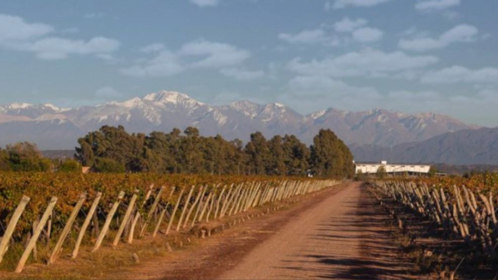Viña Maipú