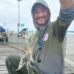 En el Río de la Plata, particularmente en sectores como Punta Lara y Canal 15, se registraron numerosos ejemplares. Incluso también se lo ha observado en el río Salado, una señal que vuelve a poner bajo la lupa la capacidad de esta especie para ocupar nuevos ambientes.