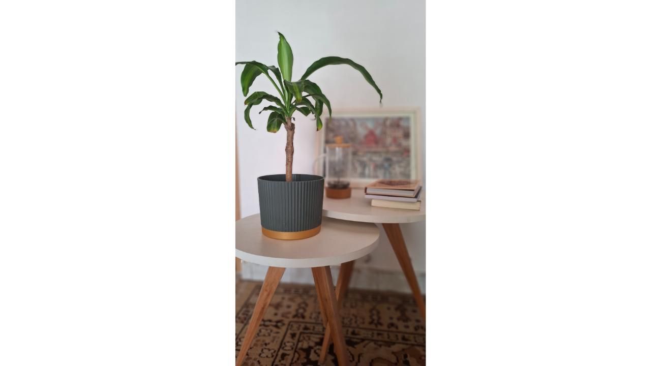El Mito de la Decoración Feng Shui