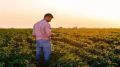 Productor agro