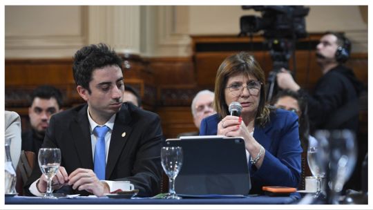 LLA rechazó separar Ficha Limpia y la Reforma Electoral sigue sin acuerdo en el Senado