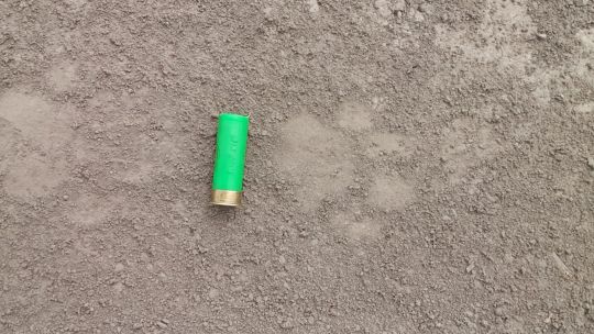 Detectaron rastros de un yaguareté en una reserva del Chaco y activaron un protocolo de monitoreo