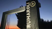 Finca Rumaroli: del sudeste bonaerense al reconocimiento internacional por sus aceites de oliva