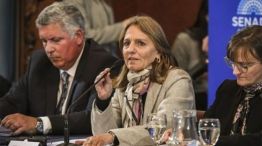 El Senado dio dictamen al proyecto que elimina a varias provincias de los beneficios por "zonas frías" en facturas de gas.