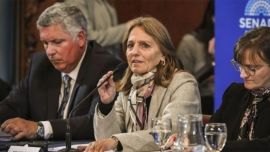 Zona Frías: LLA logró dictamen del Senado para eliminar descuentos en facturas de gas