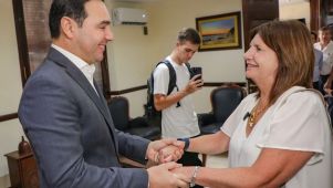 gustavo valdes y patricia bullrich