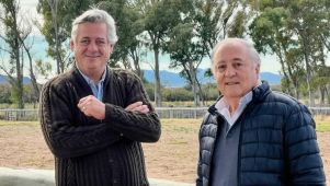 Pino y Odriozola