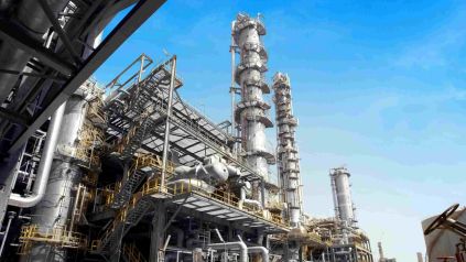 Industria Petroquímica Argentina
