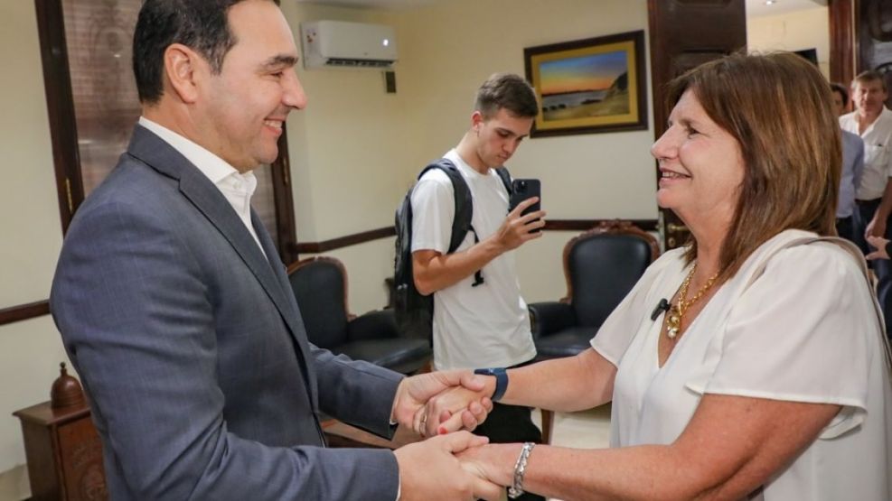 gustavo valdes y patricia bullrich
