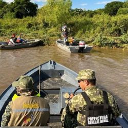 Los inspectores de Recursos Naturales vienen siguiendo el desplazamiento y realizando patrullajes, mientras que Prefectura Naval Argentina participa de los operativos sobre el río. 