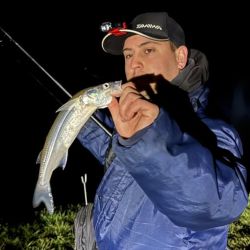 La pesca desde costa mantiene igualmente un panorama favorable. Los resultados aparecen tanto durante el día como, especialmente, en las horas nocturnas, cuando se logran los mejores portes.