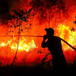 Un bombero de la Agencia Regional de Gestión de Desastres sofoca un incendio forestal en la localidad de Sungai Rambutan, en Ogan Ilir (Sumatra Meridional). Una bruma tóxica ha cubierto partes de Indonesia y Malasia durante semanas, mientras Yakarta lucha por contener los incendios que han arrasado grandes extensiones de Borneo y Sumatra, y cuyo humo se desplaza hacia los países vecinos: Malasia, Singapur y Brunéi. | Foto:SIGIT PRASETYA / AFP