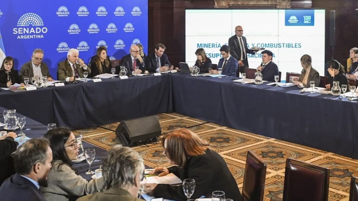 Avanza en el Senado la reforma a la Zona Fría: el paso clave que reclama Corrientes por la tarifa de energía