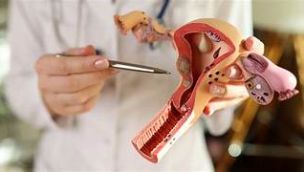Médico ginecólogo