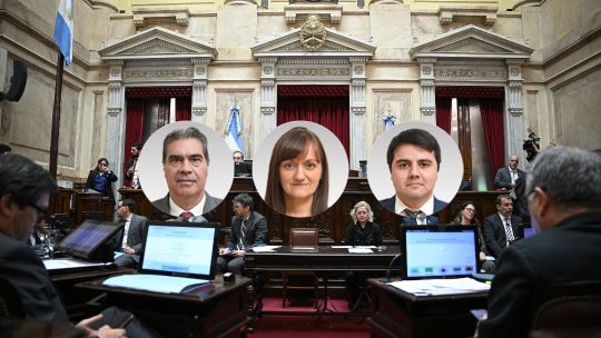 El Senado aprobó la Inocencia Fiscal II: cómo votaron los senadores de Chaco