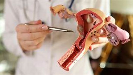 Médico ginecólogo