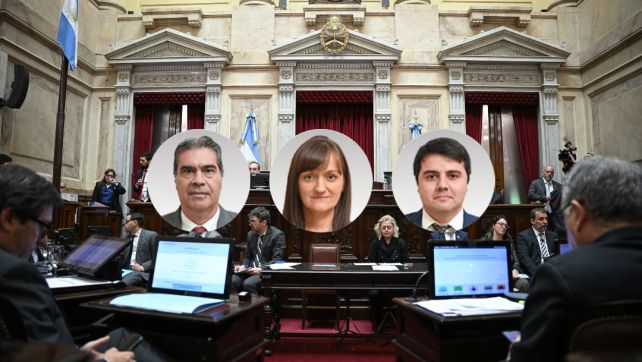 Inocencia Fiscal II: así votaron los senadores chaqueños.