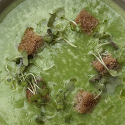 Sopa verde.
