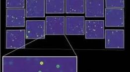 1809_telescopio grace roman