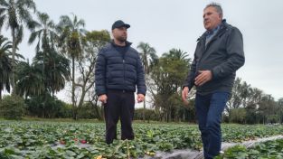 Germán Martitegui en Tierras