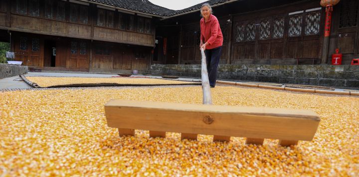 Imagen de una agricultora secando maíz al aire en su vivienda, en la aldea de Fangjialing, en la provincia de Guizhou, en el suroeste de China.