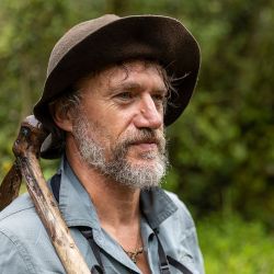 África: El hogar salvaje de la Tierra llega el 3 de octubre a Disney +.