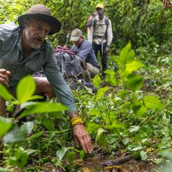 África: El hogar salvaje de la Tierra llega el 3 de octubre a Disney +.