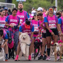 Dog Run.