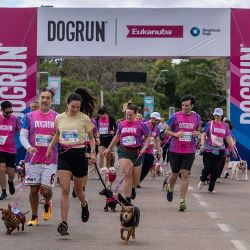 Dog Run.