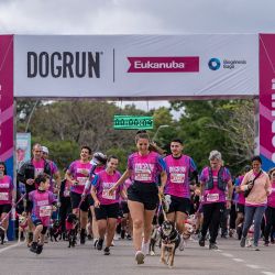Dog Run.
