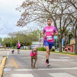 Dog Run.